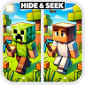 ⬜ Hide and Seek (Minigame) ✨ [1.8 - 26.2]️ ⬜ icon